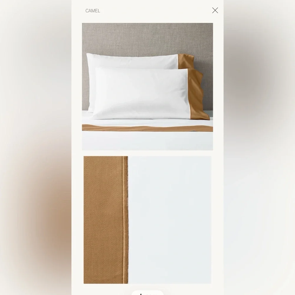 Italian 1000-Thread-Count Sateen Grand Border Euro Sham pillowcases - Camel